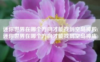 迷你世界在哪个方向才能找到空岛神殿(迷你世界在哪个方向才能找到空岛神庙)