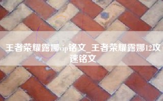 王者荣耀露娜vip铭文_王者荣耀露娜12攻速铭文