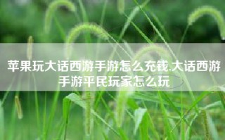 苹果玩大话西游手游怎么充钱,大话西游手游平民玩家怎么玩