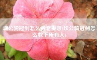 坎公骑冠剑怎么救老板娘(坎公骑冠剑怎么救下所有人)