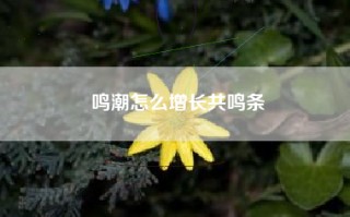 鸣潮怎么增长共鸣条