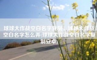 球球大作战空白名字复制，球球大作战空白名字怎么弄(球球大作战空白名字复制安卓)