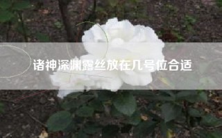 诸神深渊露丝放在几号位合适