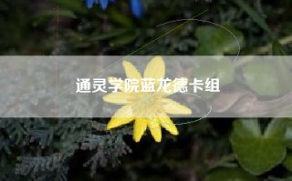 通灵学院蓝龙德卡组