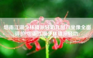 烟雨江湖少林镇派轻功九图六坐像全面评价(烟雨江湖少林镇派轻功)