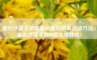 黑色沙漠手游盛着心愿的风筝达成方法 (黑色沙漠手游40级去哪挂机)