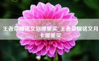 王者荣耀铭文到哪里买_王者荣耀铭文月卡哪里买