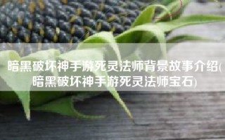 暗黑破坏神手游死灵法师背景故事介绍(暗黑破坏神手游死灵法师宝石)