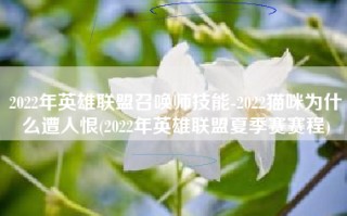 2022年英雄联盟召唤师技能-2022猫咪为什么遭人恨(2022年英雄联盟夏季赛赛程)