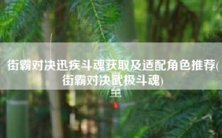 街霸对决迅疾斗魂获取及适配角色推荐(街霸对决武极斗魂)