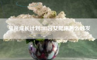 皇帝成长计划2H5宫女爬床怎么触发