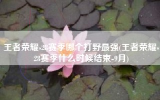 王者荣耀s28赛季哪个打野最强(王者荣耀s28赛季什么时候结束-9月)