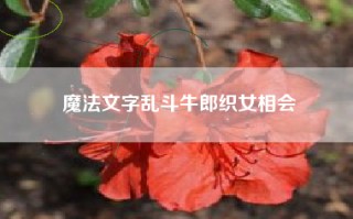 魔法文字乱斗牛郎织女相会