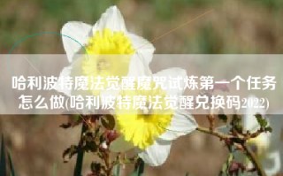 哈利波特魔法觉醒魔咒试炼第一个任务怎么做(哈利波特魔法觉醒兑换码2022)