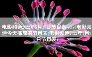 电影频道2022年5月17日节目表 cctv6电影频道今天播放的节目表(电影频道2022年7月8日节目表)