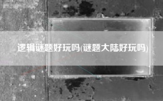 逻辑谜题好玩吗(谜题大陆好玩吗)