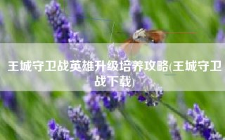 王城守卫战英雄升级培养攻略(王城守卫战下载)