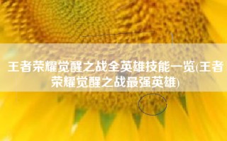 王者荣耀觉醒之战全英雄技能一览(王者荣耀觉醒之战最强英雄)