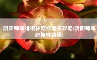 阴阳师寒绯樱林路线通关攻略(阴阳师寒绯樱林路线)