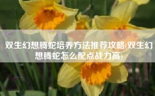 双生幻想腾蛇培养方法推荐攻略(双生幻想腾蛇怎么配点战力高)