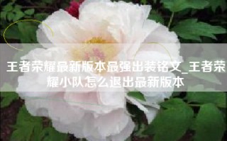 王者荣耀最新版本最强出装铭文_王者荣耀小队怎么退出最新版本