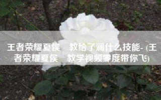 王者荣耀夏侯惇教给了澜什么技能- (王者荣耀夏侯惇教学视频零度带你飞)