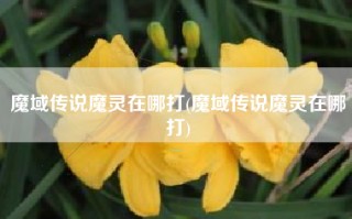 魔域传说魔灵在哪打(魔域传说魔灵在哪打)