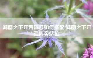 鸿图之下开荒阵容如何搭配(鸿图之下开荒阵容站位)