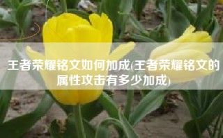 王者荣耀铭文如何加成(王者荣耀铭文的属性攻击有多少加成)