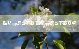 贴贴app怎么下载(贴贴app怎么下载安卓)