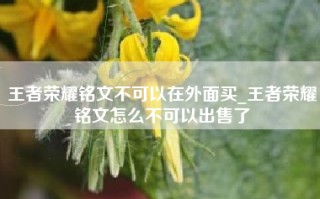 王者荣耀铭文不可以在外面买_王者荣耀铭文怎么不可以出售了