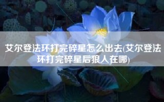 艾尔登法环打完碎星怎么出去(艾尔登法环打完碎星后狼人在哪)