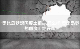 奥比岛梦想国度土狼npc怎么样(奥比岛梦想国度土地在哪)