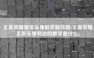 王者荣耀猪年头像框获取攻略(王者荣耀主页头像旁边的数字是什么)