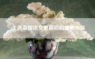 王者荣耀铭文更新后的重要功能