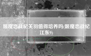 姬魔恋战纪关羽值得培养吗(姬魔恋战纪江东9)