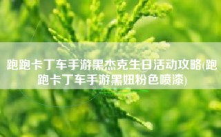跑跑卡丁车手游黑杰克生日活动攻略(跑跑卡丁车手游黑妞粉色喷漆)