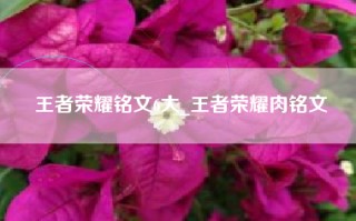 王者荣耀铭文6大_王者荣耀肉铭文