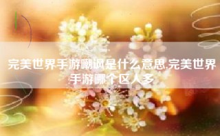完美世界手游嘲讽是什么意思,完美世界手游哪个区人多