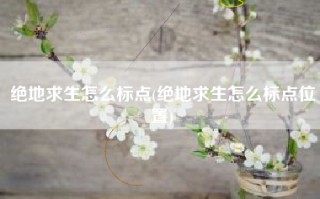 绝地求生怎么标点(绝地求生怎么标点位置)