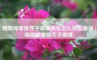 阴阳师蜜桃芥子御魂阵容怎么搭配最强 (阴阳师蜜桃芥子御魂)