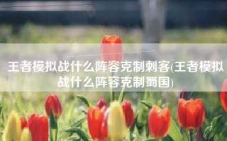 王者模拟战什么阵容克制刺客(王者模拟战什么阵容克制蜀国)