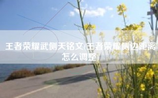 王者荣耀武侧天铭文(王者荣耀侧边距离怎么调整)