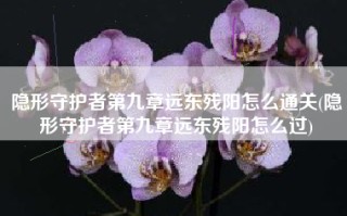 隐形守护者第九章远东残阳怎么通关(隐形守护者第九章远东残阳怎么过)