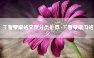 王者荣耀铭文页分类推荐_王者荣耀肉铭文