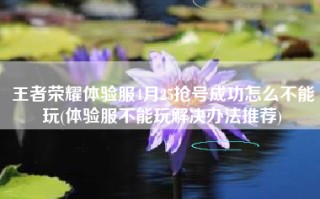 王者荣耀体验服4月25抢号成功怎么不能玩(体验服不能玩解决办法推荐)