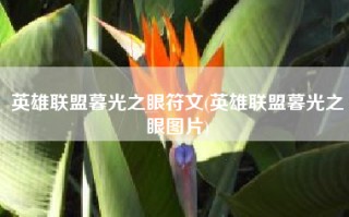英雄联盟暮光之眼符文(英雄联盟暮光之眼图片)