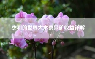 杰利的世界大水泵采矿收益详解