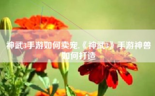 神武3手游如何卖宠,《神武3》手游神兽如何打造