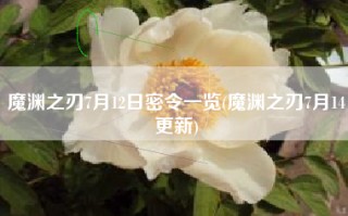 魔渊之刃7月12日密令一览(魔渊之刃7月14更新)